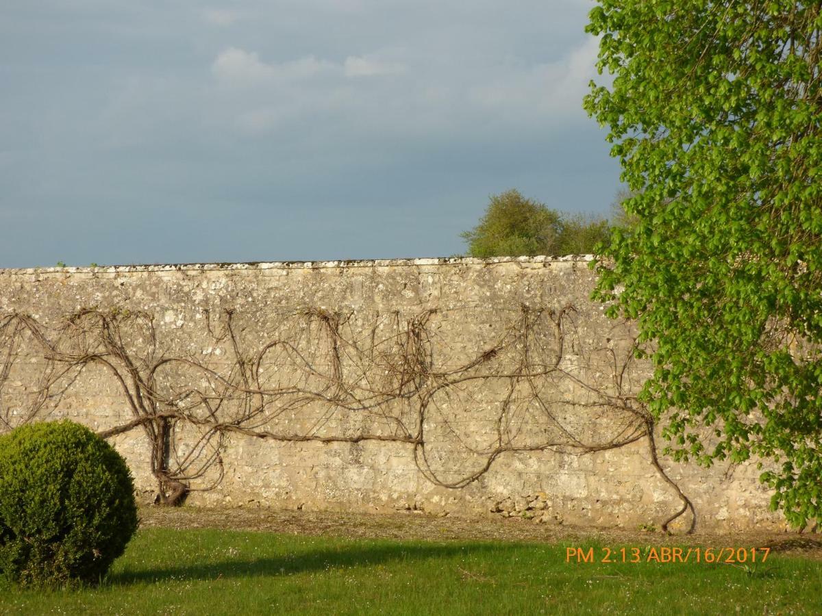 Chateau De Montrame Soisy-Bouy Exterior foto