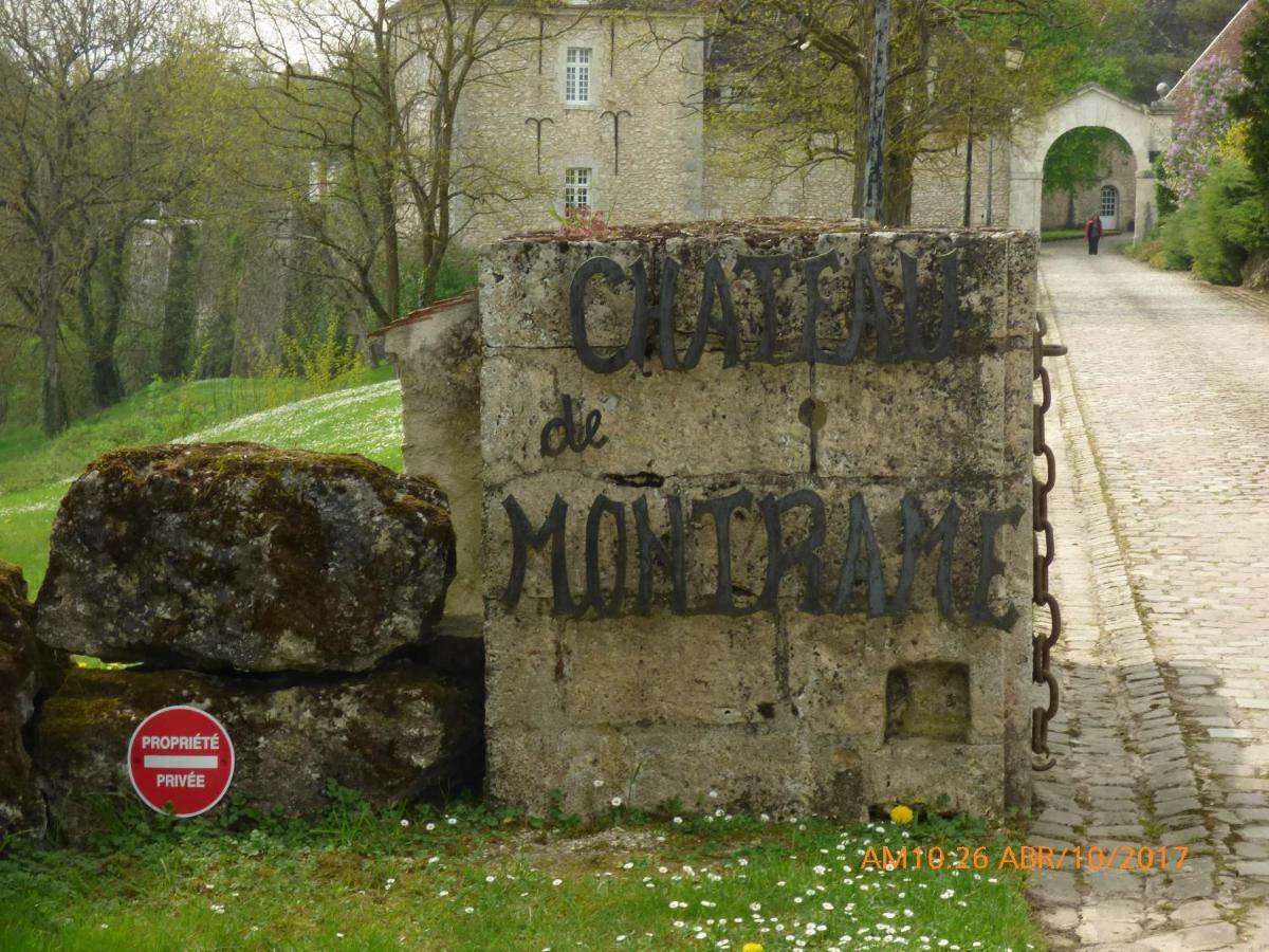Chateau De Montrame Soisy-Bouy Exterior foto
