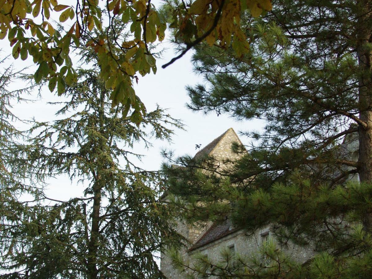 Chateau De Montrame Soisy-Bouy Exterior foto